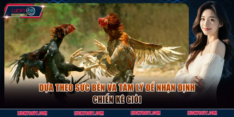 Dựa theo sức bền và tâm lý để nhận định chiến kê giỏi