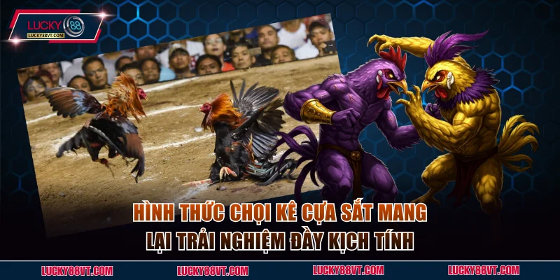 Hình thức chọi kê cựa sắt mang lại trải nghiệm đầy kịch tính